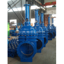 EN1171 Rising Stem Metal Seat Gate Valve